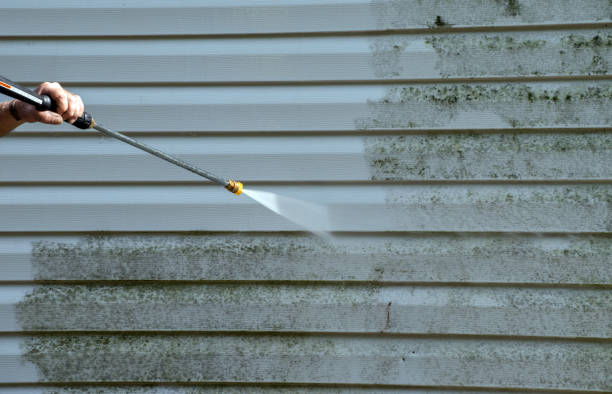 Best Dumpster Area Cleaning  in Mford, IL
